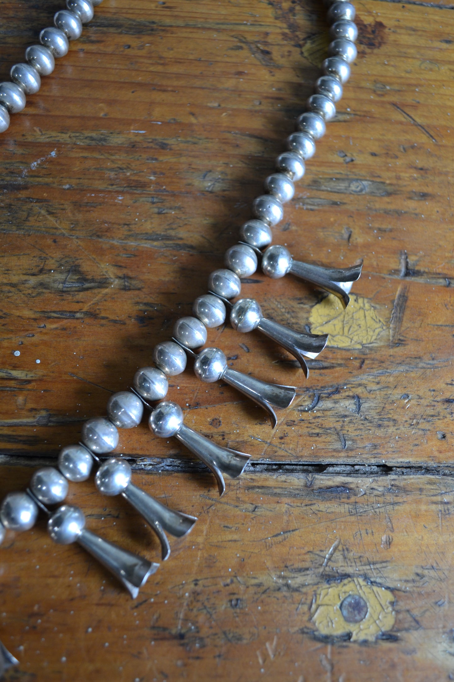 The Foster Vintage Squash