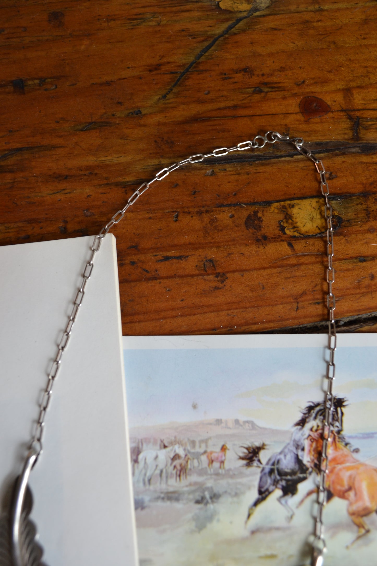 The Saucy Necklace