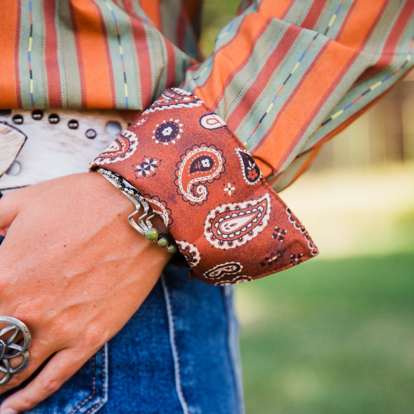 The Benlyn | Stripe & Paisley Long Sleeve Pearl Snap