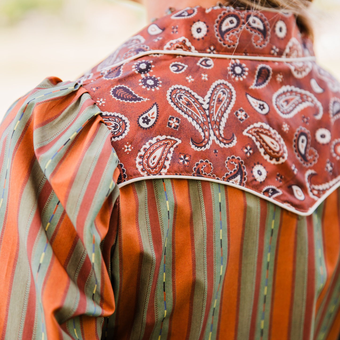 The Benlyn | Stripe & Paisley Long Sleeve Pearl Snap
