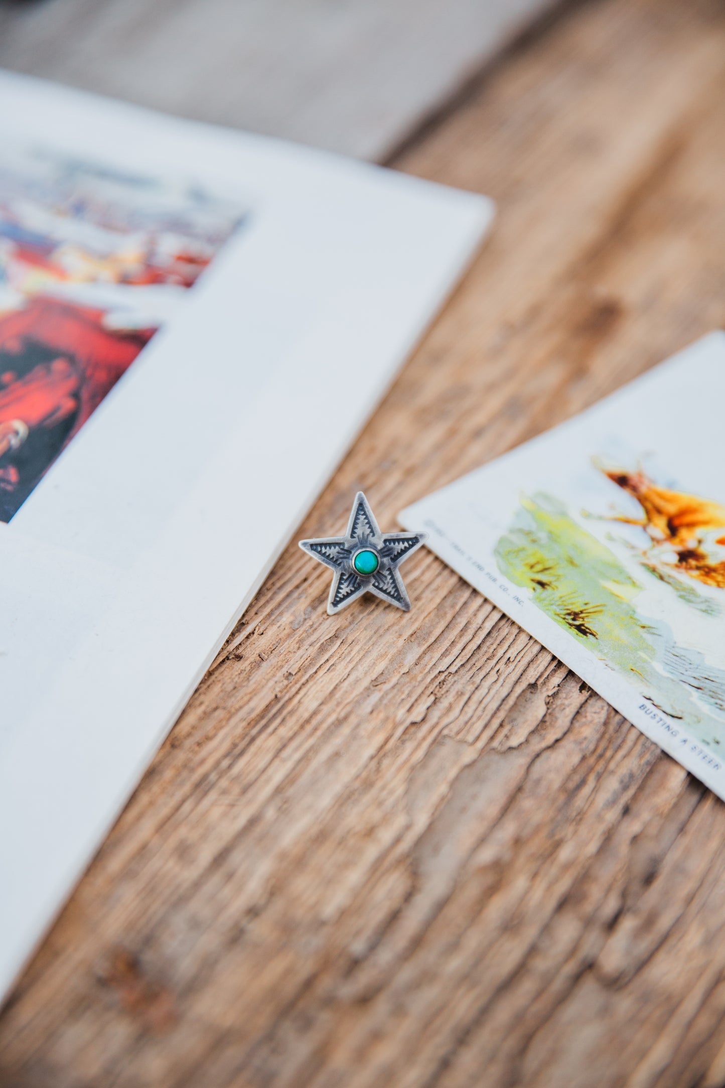The Estrella Pin/Brooch