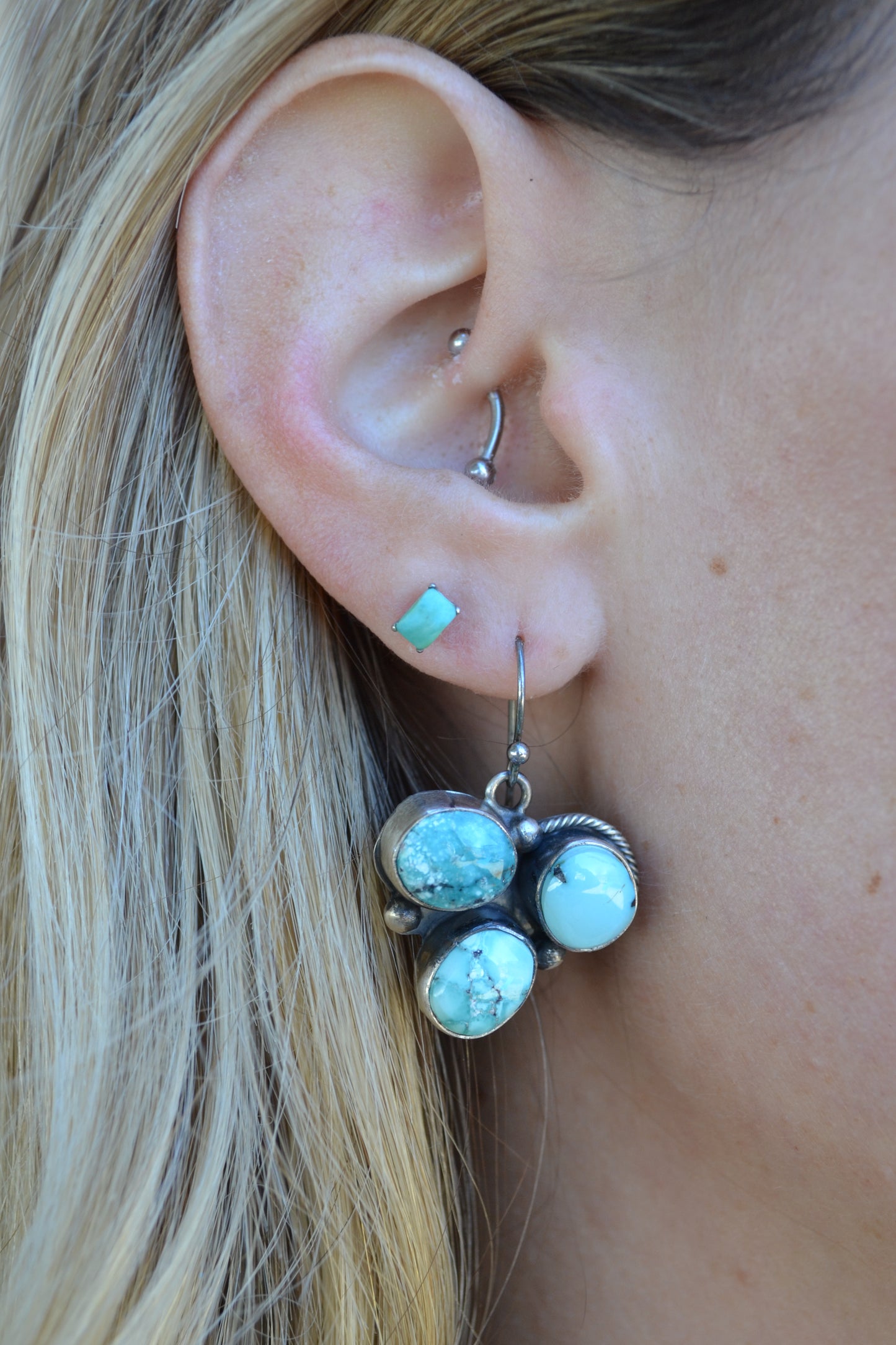 The Cheyenne's by Ella Peter