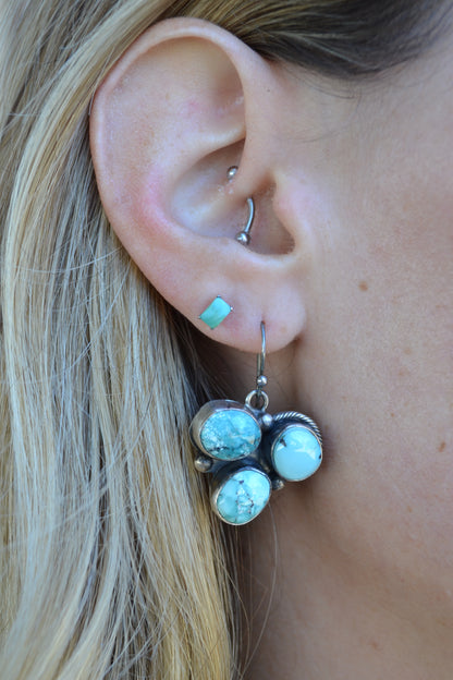 The Cheyenne's by Ella Peter